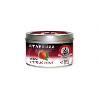 Кальянный табак Starbuzz Tobacco Citrus Mint 100