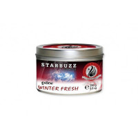 Кальянный табак Starbuzz Tobacco Winter Fresh 100