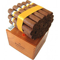 Сигары Cohiba Robustos