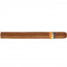 Сигары Cohiba Siglo V